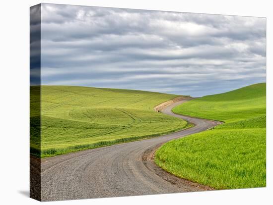USA, Washington State, Palouse. Backcountry road leading through winter and spring wheat fields-Terry Eggers-Stretched Canvas