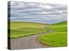 USA, Washington State, Palouse. Backcountry road leading through winter and spring wheat fields-Terry Eggers-Stretched Canvas