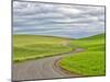 USA, Washington State, Palouse. Backcountry road leading through winter and spring wheat fields-Terry Eggers-Mounted Photographic Print