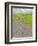 USA, Washington State, Palouse. Backcountry road leading through winter and spring wheat fields-Terry Eggers-Framed Photographic Print