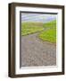 USA, Washington State, Palouse. Backcountry road leading through winter and spring wheat fields-Terry Eggers-Framed Photographic Print