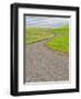 USA, Washington State, Palouse. Backcountry road leading through winter and spring wheat fields-Terry Eggers-Framed Photographic Print