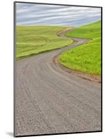 USA, Washington State, Palouse. Backcountry road leading through winter and spring wheat fields-Terry Eggers-Mounted Photographic Print