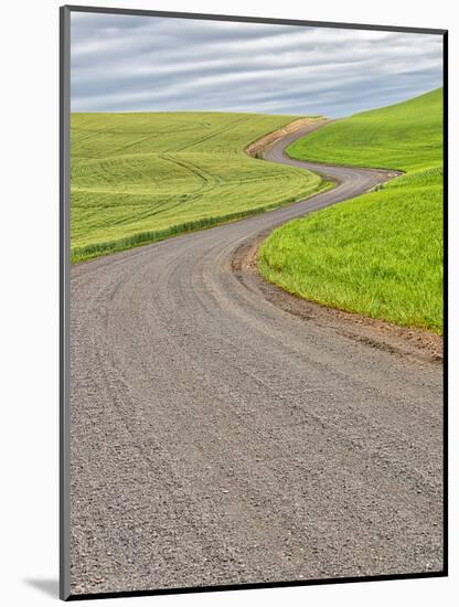 USA, Washington State, Palouse. Backcountry road leading through winter and spring wheat fields-Terry Eggers-Mounted Photographic Print