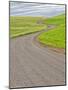 USA, Washington State, Palouse. Backcountry road leading through winter and spring wheat fields-Terry Eggers-Mounted Photographic Print