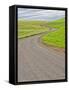 USA, Washington State, Palouse. Backcountry road leading through winter and spring wheat fields-Terry Eggers-Framed Stretched Canvas