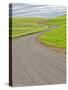 USA, Washington State, Palouse. Backcountry road leading through winter and spring wheat fields-Terry Eggers-Stretched Canvas