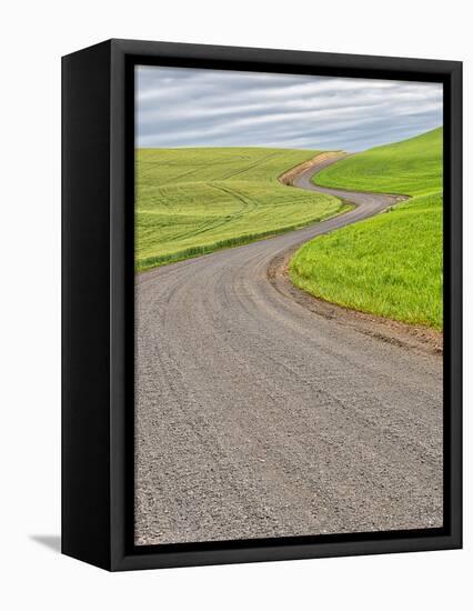 USA, Washington State, Palouse. Backcountry road leading through winter and spring wheat fields-Terry Eggers-Framed Stretched Canvas
