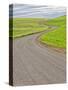 USA, Washington State, Palouse. Backcountry road leading through winter and spring wheat fields-Terry Eggers-Stretched Canvas