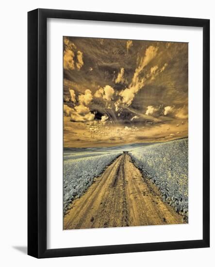 USA, Washington State, Palouse. Backcountry road through canola field and clouds-Terry Eggers-Framed Photographic Print