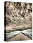 USA, Washington State, Palouse. Backcountry road through wheat field and clouds-Terry Eggers-Stretched Canvas