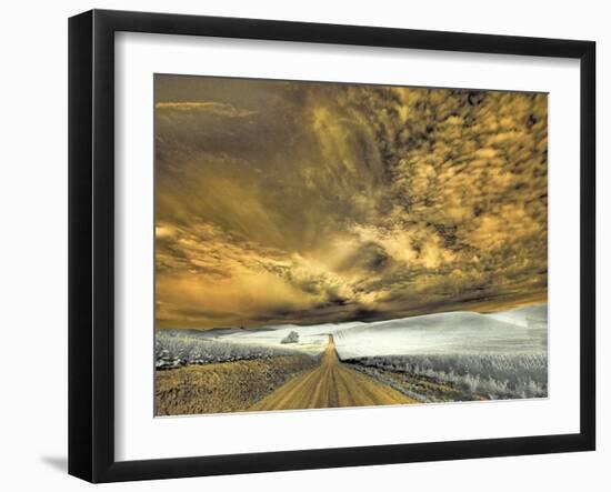 USA, Washington State, Palouse. Backcountry road through wheat field and clouds-Terry Eggers-Framed Photographic Print