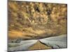 USA, Washington State, Palouse. Backcountry road through wheat field and clouds-Terry Eggers-Mounted Photographic Print