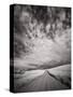 USA, Washington State, Palouse. Backcountry road through wheat field and clouds-Terry Eggers-Stretched Canvas