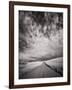 USA, Washington State, Palouse. Backcountry road through wheat field and clouds-Terry Eggers-Framed Photographic Print