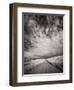 USA, Washington State, Palouse. Backcountry road through wheat field and clouds-Terry Eggers-Framed Photographic Print