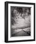 USA, Washington State, Palouse. Backcountry road through wheat field and clouds-Terry Eggers-Framed Photographic Print