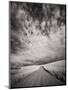 USA, Washington State, Palouse. Backcountry road through wheat field and clouds-Terry Eggers-Mounted Photographic Print