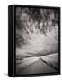 USA, Washington State, Palouse. Backcountry road through wheat field and clouds-Terry Eggers-Framed Stretched Canvas