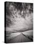 USA, Washington State, Palouse. Backcountry road through wheat field and clouds-Terry Eggers-Stretched Canvas