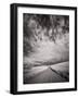 USA, Washington State, Palouse. Backcountry road through wheat field and clouds-Terry Eggers-Framed Photographic Print