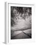 USA, Washington State, Palouse. Backcountry road through wheat field and clouds-Terry Eggers-Framed Photographic Print