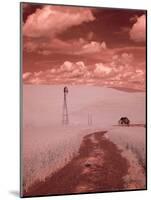 USA, Washington State, Palouse. Backroad through wheat field-Terry Eggers-Mounted Photographic Print