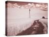 USA, Washington State, Palouse. Backroad through wheat field-Terry Eggers-Stretched Canvas