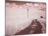 USA, Washington State, Palouse. Backroad through wheat field-Terry Eggers-Mounted Photographic Print