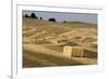 USA, Washington State, Palouse. Bales of straw in field.-Deborah Winchester-Framed Photographic Print