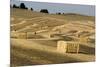 USA, Washington State, Palouse. Bales of straw in field.-Deborah Winchester-Mounted Photographic Print