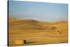 USA, Washington State, Palouse. Bales of straw in field.-Deborah Winchester-Stretched Canvas