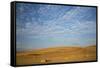 USA, Washington State, Palouse. Bales of straw in field.-Deborah Winchester-Framed Stretched Canvas