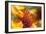 USA, Washington State, Palouse. Close-up of a Sunflower-Dennis Flaherty-Framed Photographic Print