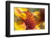 USA, Washington State, Palouse. Close-up of a Sunflower-Dennis Flaherty-Framed Photographic Print