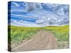 USA, Washington State, Palouse, Country Backroad through Spring canola fields-Terry Eggers-Stretched Canvas