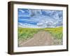 USA, Washington State, Palouse, Country Backroad through Spring canola fields-Terry Eggers-Framed Photographic Print