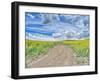 USA, Washington State, Palouse, Country Backroad through Spring canola fields-Terry Eggers-Framed Photographic Print