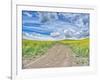 USA, Washington State, Palouse, Country Backroad through Spring canola fields-Terry Eggers-Framed Photographic Print