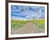 USA, Washington State, Palouse, Country Backroad through Spring canola fields-Terry Eggers-Framed Photographic Print