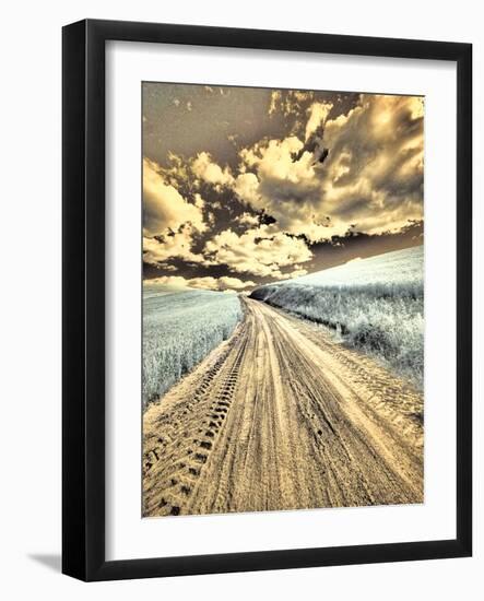 USA, Washington State, Palouse. Country backroad through spring crops-Terry Eggers-Framed Photographic Print