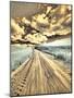 USA, Washington State, Palouse. Country backroad through spring crops-Terry Eggers-Mounted Photographic Print