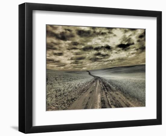 USA, Washington State, Palouse. Country backroad through spring crops-Terry Eggers-Framed Photographic Print