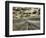 USA, Washington State, Palouse. Country backroad through spring crops-Terry Eggers-Framed Photographic Print