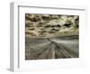 USA, Washington State, Palouse. Country backroad through spring crops-Terry Eggers-Framed Photographic Print