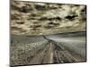 USA, Washington State, Palouse. Country backroad through spring crops-Terry Eggers-Mounted Photographic Print