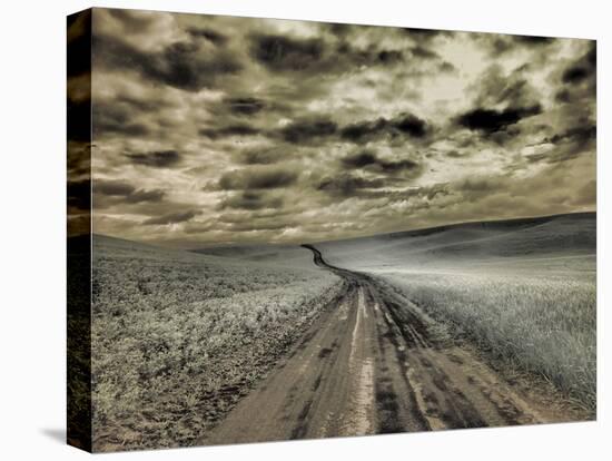 USA, Washington State, Palouse. Country backroad through spring crops-Terry Eggers-Stretched Canvas