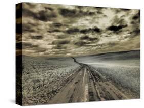 USA, Washington State, Palouse. Country backroad through spring crops-Terry Eggers-Stretched Canvas