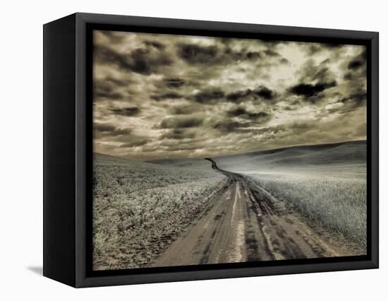 USA, Washington State, Palouse. Country backroad through spring crops-Terry Eggers-Framed Stretched Canvas