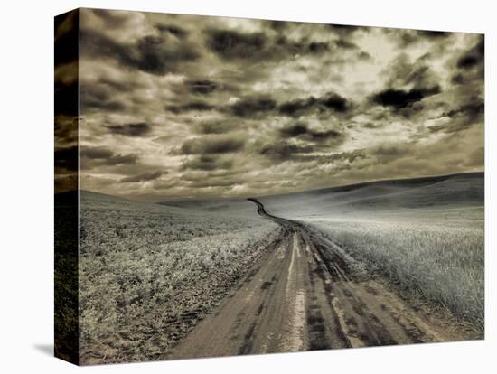 USA, Washington State, Palouse. Country backroad through spring crops-Terry Eggers-Stretched Canvas